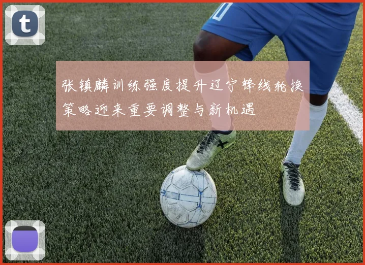 张镇麟训练强度提升辽宁锋线轮换策略迎来重要调整与新机遇