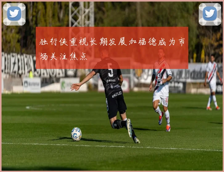 独行侠重视长期发展加福德成为市场关注焦点